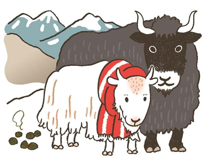 人間の役に立っているありがた〜い生き物たち