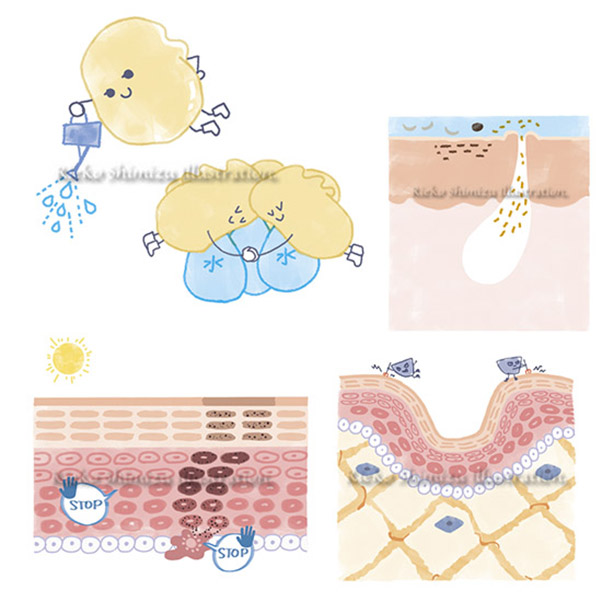 「知れば知るほどキレイになれる！美容成分キャラ図鑑」肌断面図イラスト