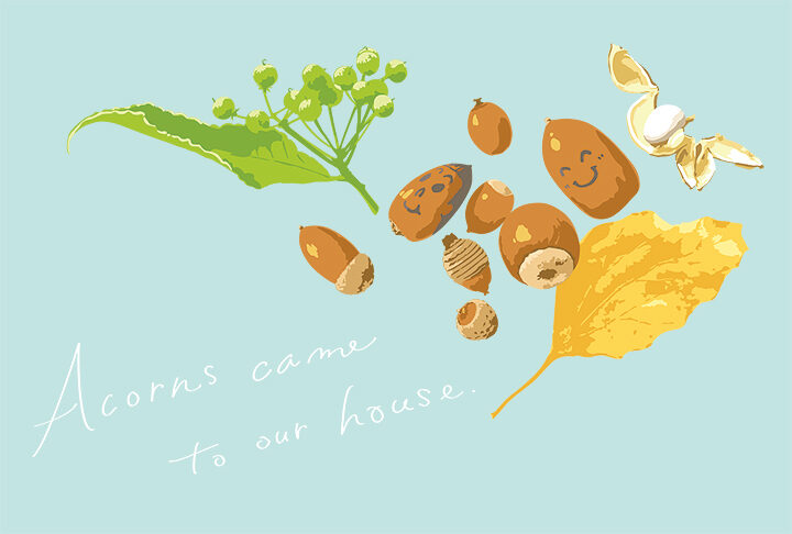 Acorns came to our house.