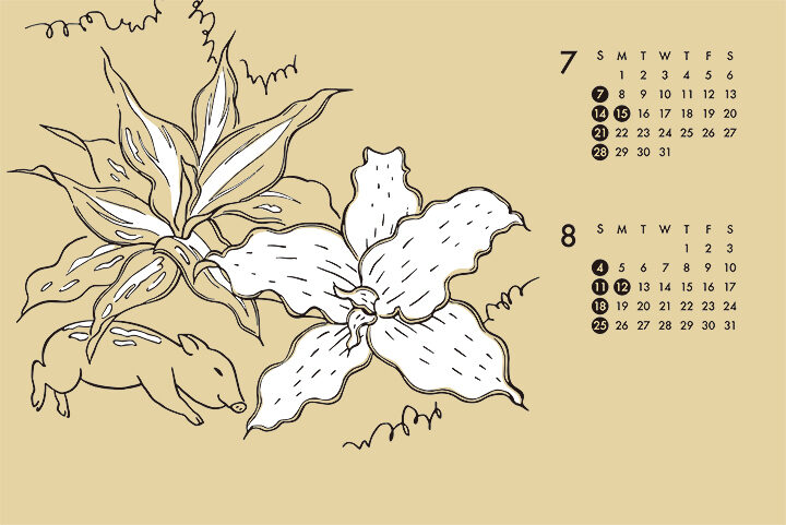 smithsカレンダー2019 7-8月