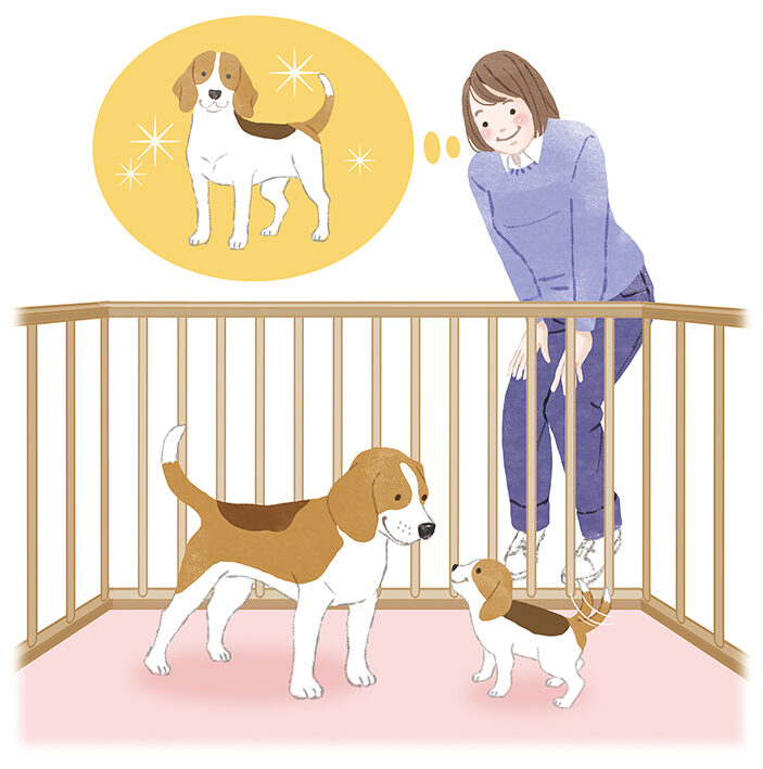 緑書房 Wan 2026春号