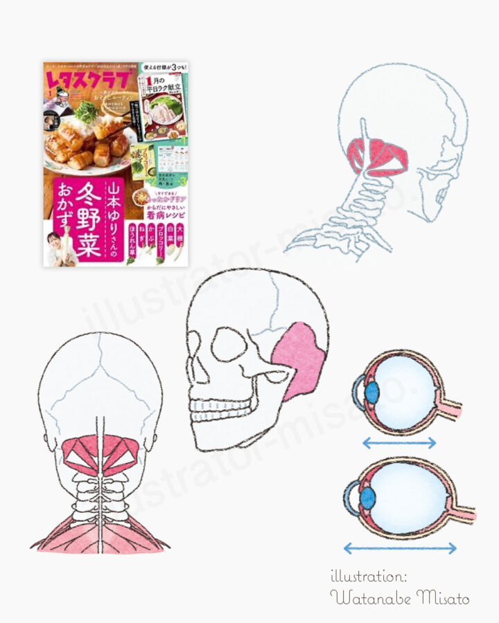 レタスクラブ ’26 1月号（株式会社KADOKAWA様）
