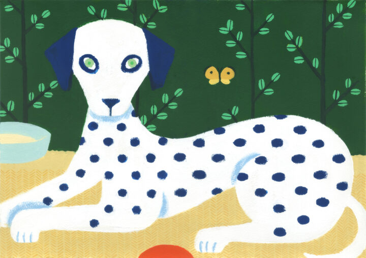 dog