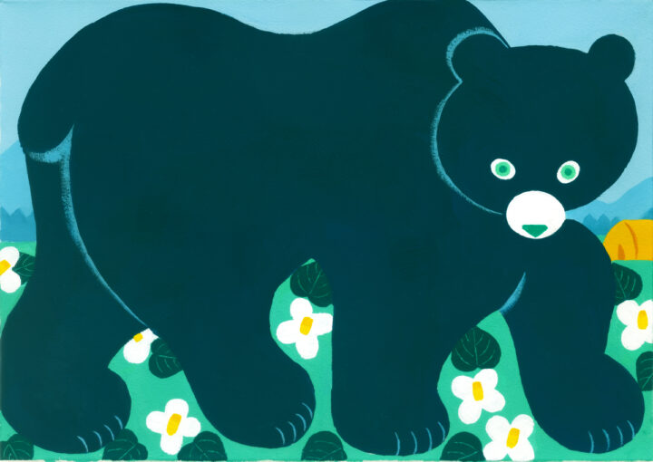 bear