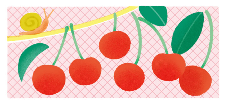 さくらんぼとかたつむり