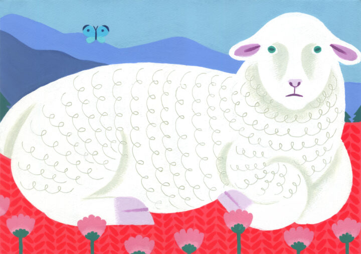 sheep