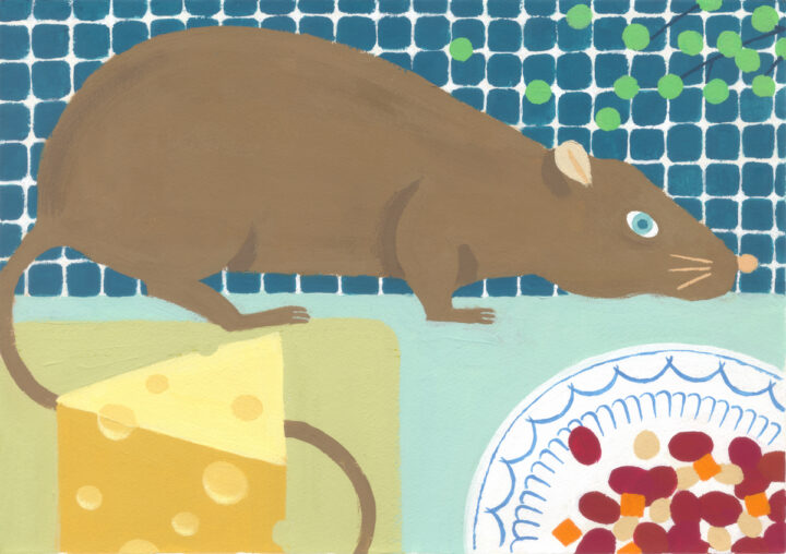 Mouse / Breakfast (2019 / 2025)