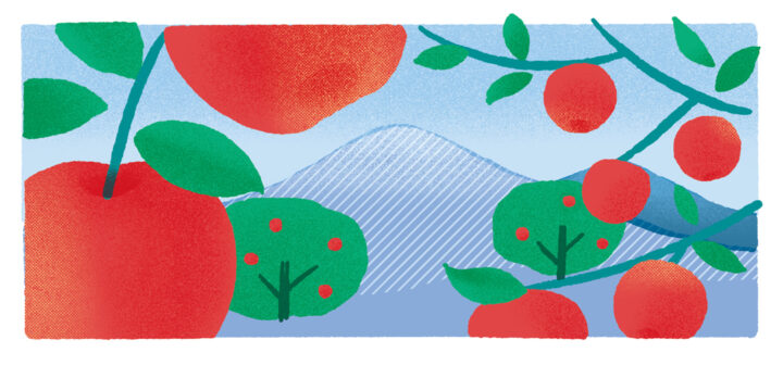 果樹園のりんご