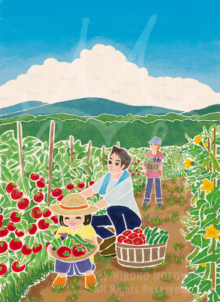 かどや製油様冊子「彩生活。 vol.47」2025年夏号表紙イラスト。本山浩子の優しく明るくほのぼのとした絵。家族で自然溢れる畑で野菜を楽しく収穫している風景。