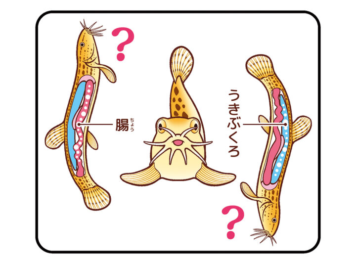 書籍『大人も知らない ディープな生き物クイズ』三笠書房