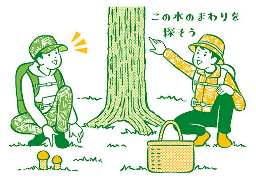 書籍イラスト『農林水産省職員直伝「食材」のトリセツ』（マガジンハウス）