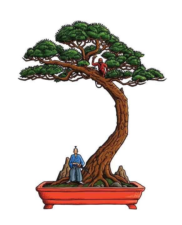 bonsai