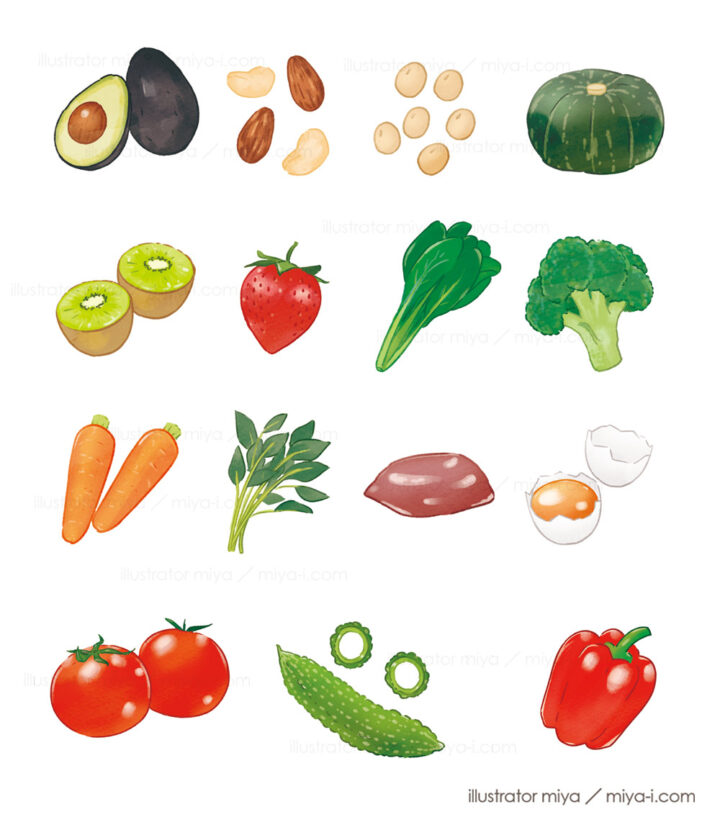 イラスト・おしゃれ・野菜・食材・食べ物・果物・アボカド・トマト・ナッツ・カボチャ・大豆・レバー・卵・にんじん