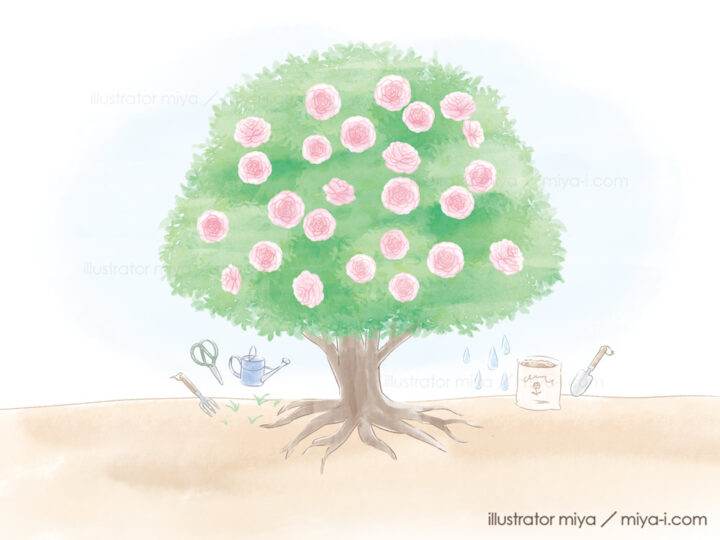 女性・おしゃれ・かわいい・花・樹木・木