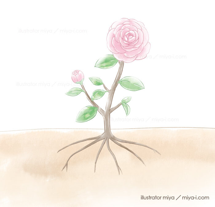 女性・おしゃれ・かわいい・花・樹木・木