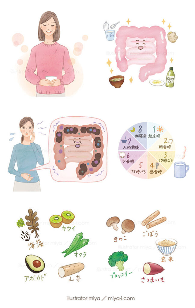 女性イラスト・シニア・かわいい・ヘアケア・生活・健康・腸・腸活