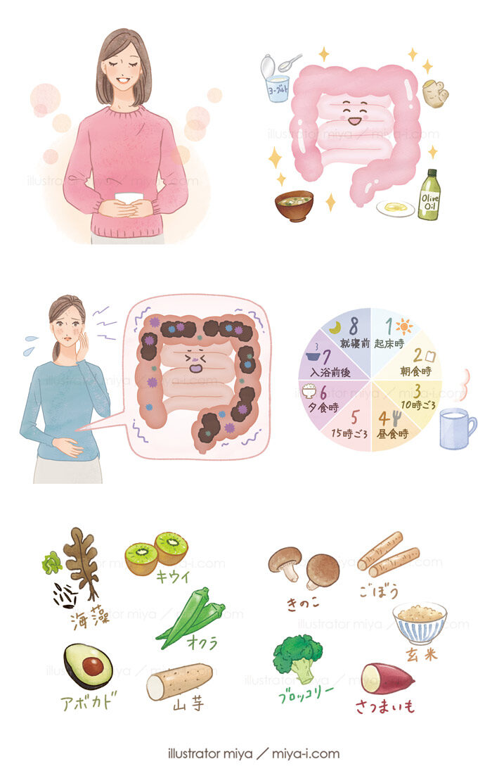 アリナミン製薬様 会報誌「すこやか倶楽部 冬号」腸活イラスト