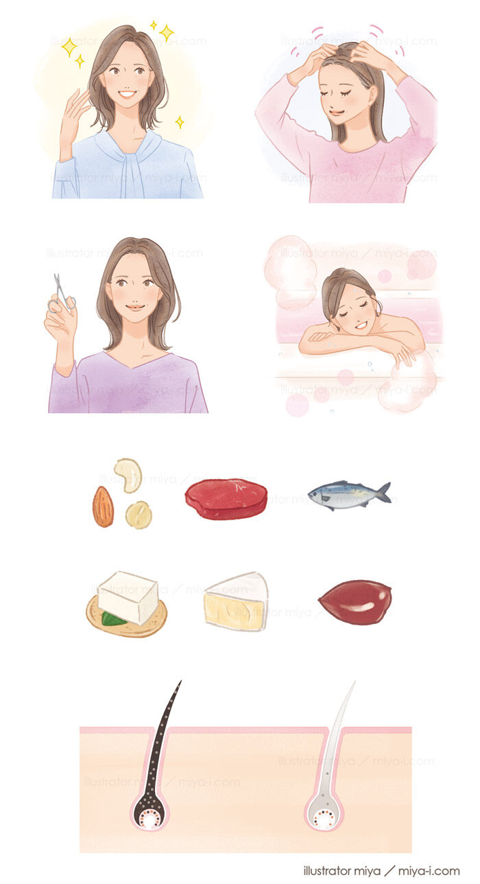 アリナミン製薬様 会報誌「すこやか倶楽部 春号」白髪対策イラスト