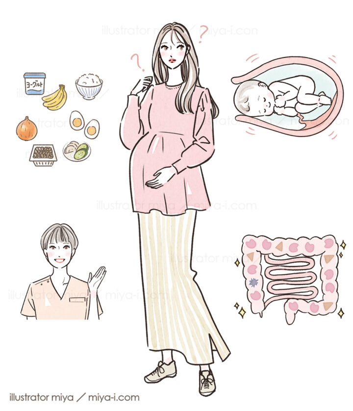 女性・妊婦・妊娠・腸内環境・似顔絵・赤ちゃん・お腹の赤ちゃん・出産・イラスト