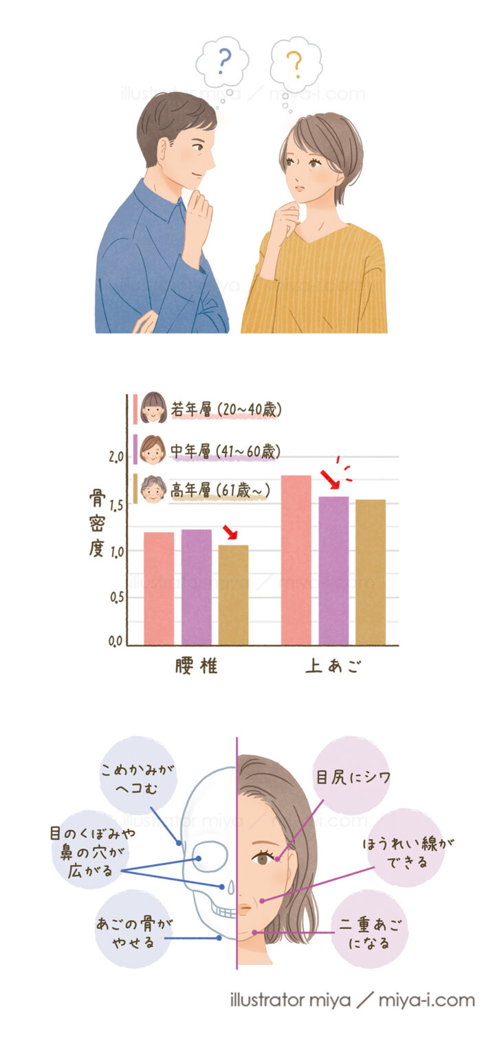 ファンケル様会報誌「元気生活 2023年5月号」 骨特集ページ挿絵