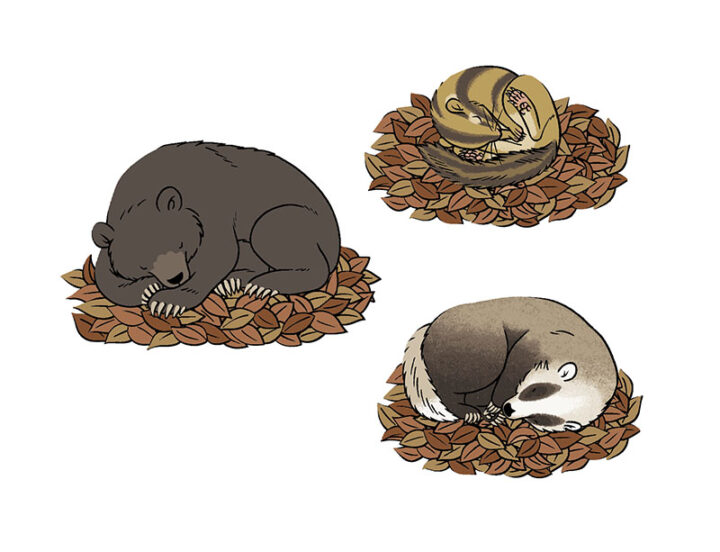 理論社『季節のことば 冬』/冬眠