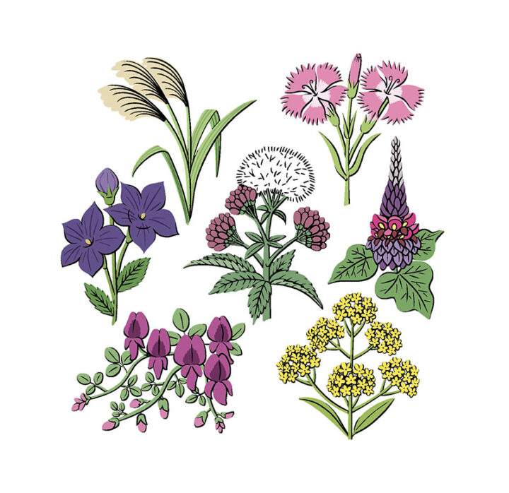 理論社『季節のことば 秋』/秋の七草