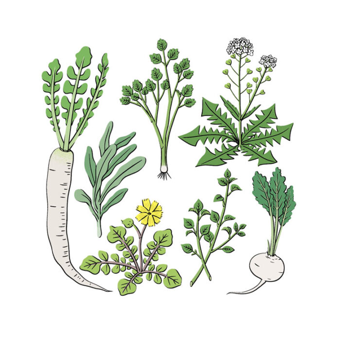 理論社『季節のことば 冬』/春の七草