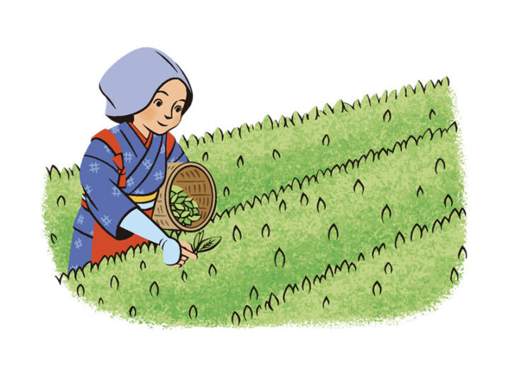 理論社『季節のことば　春』／八十八夜