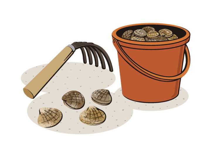 理論社『季節のことば　春』／潮干狩り