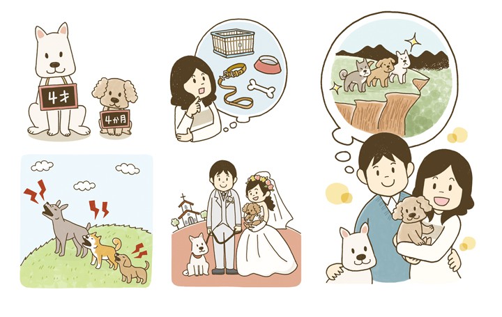 雑誌挿絵『いぬのきもち』 特集用イラストレーション （ベネッセコーポレーション）