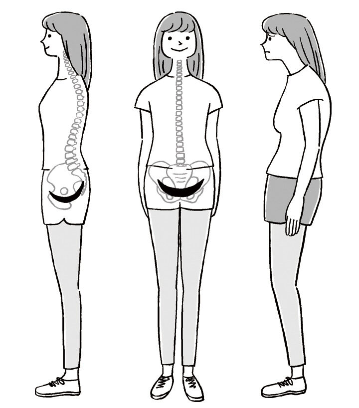 書籍『骨盤底筋の使い方』挿絵 1