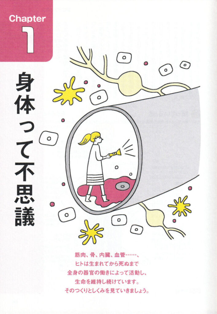 『人体の超基本』5