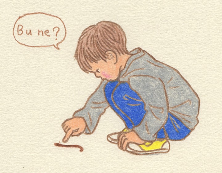 これ何