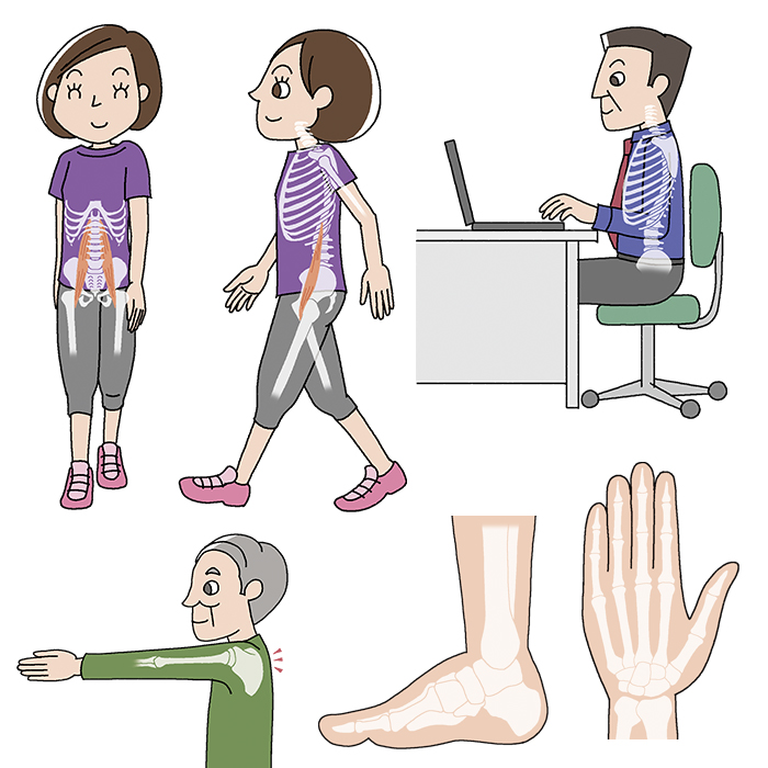 日本文芸社『疲れない！痛めない！体の使い方ビフォー・アフター手帖』／カバー＆挿絵