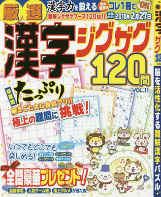 メディアソフト「厳選漢字ジグザグ120問 Vol.11」