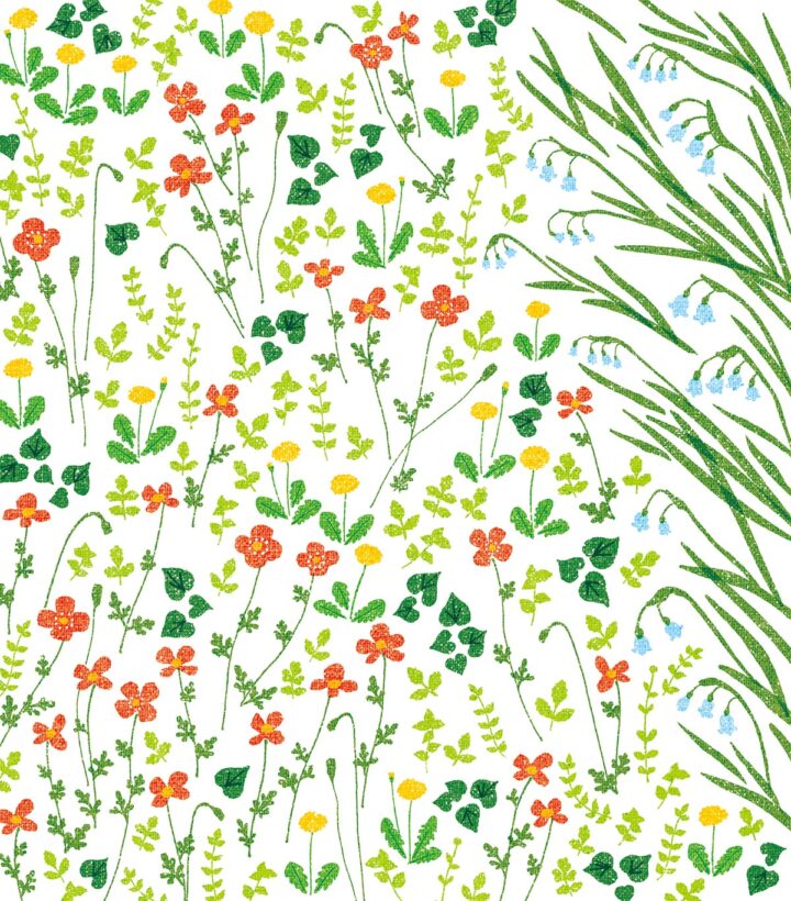 「Garden」
2013年　クリエイターEXPO東京　展示用イラストレーション