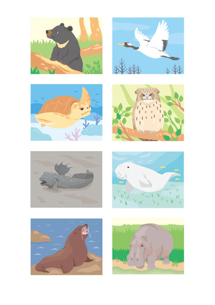株式会社河出書房新社 滅びゆく動物図鑑　イラスト