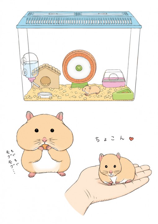株式会社講談社　たのしい幼稚園 いっしょにくらそうはじめてのペット イラスト連載