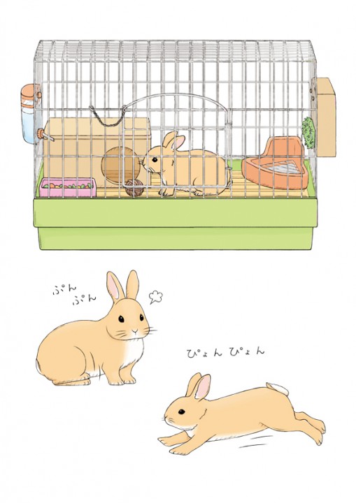 株式会社講談社 たのしい幼稚園 いっしょにくらそうはじめてのペット イラスト連載