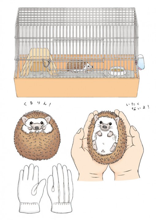 株式会社講談社 たのしい幼稚園 いっしょにくらそうはじめてのペット イラスト連載