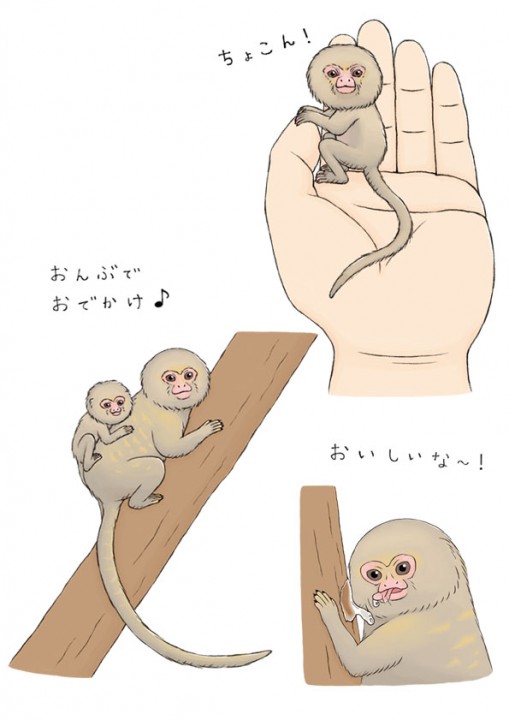 株式会社講談社　たのしい幼稚園 とってもふしぎ！おどろきのいきもの イラスト連載