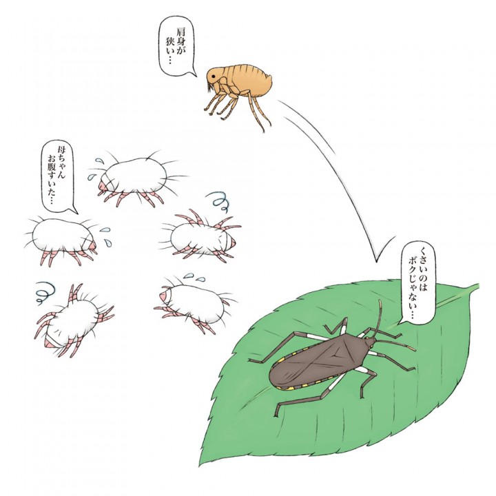 レック株式会社　ざんねんないきもの事典　害虫編イラスト