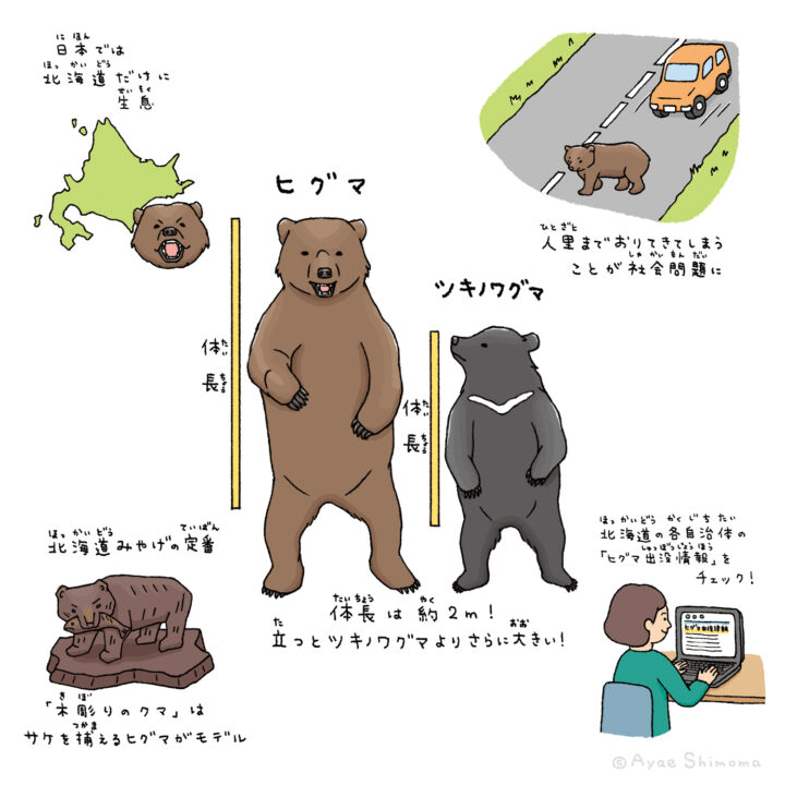 株式会社理論社『身近な危険生物対策マニュアル 武器のある生き物図鑑』イラスト