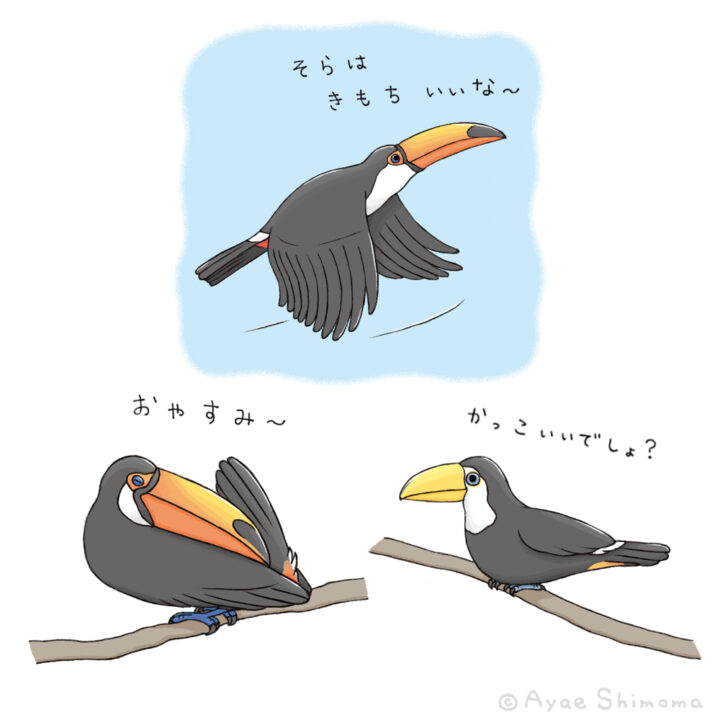 株式会社講談社『たのしい幼稚園』とってもふしぎ！おどろきのいきもの イラスト連載