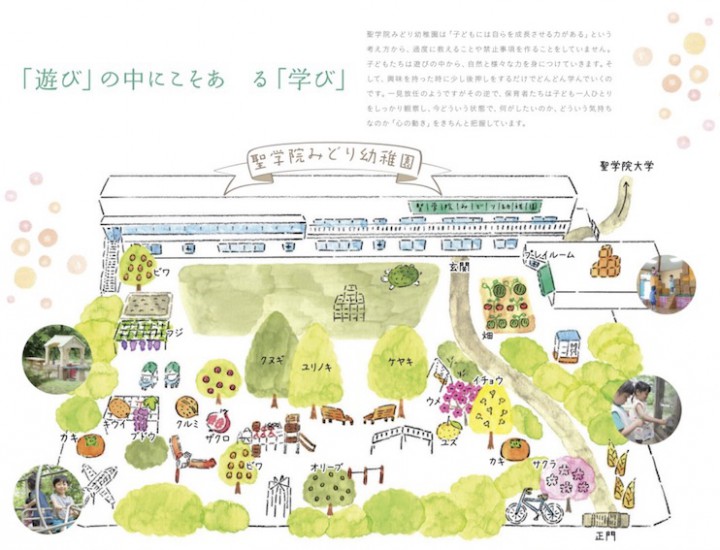 幼稚園パンフレット・web /イラストレーションマップ