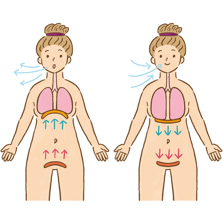 骨盤底筋、腹式呼吸