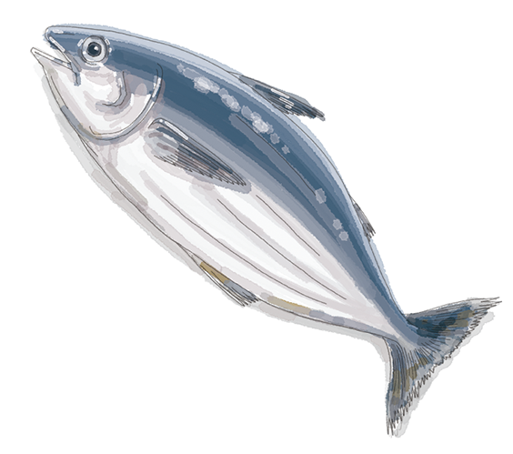 世界文化社　雑誌「へるぱる」カットイラスト