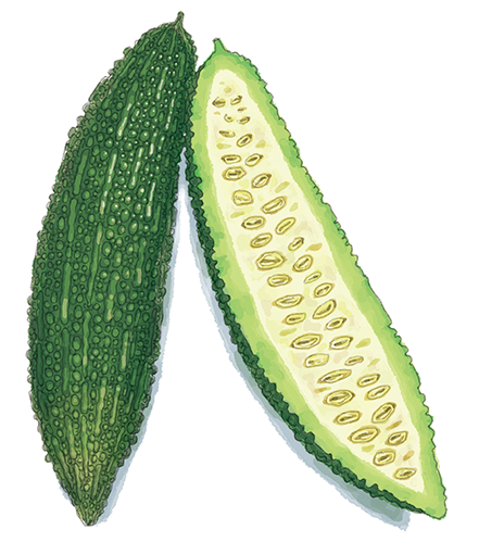 世界文化社 雑誌「へるぱる」カットイラスト