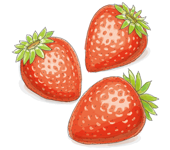 世界文化社　雑誌「へるぱる」カットイラスト