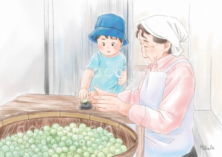 梅仕込み　オリジナル